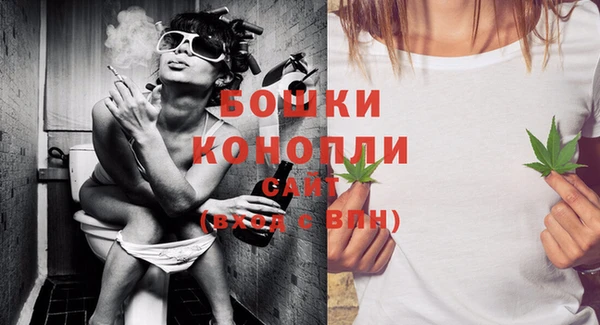 гидропоника Коряжма